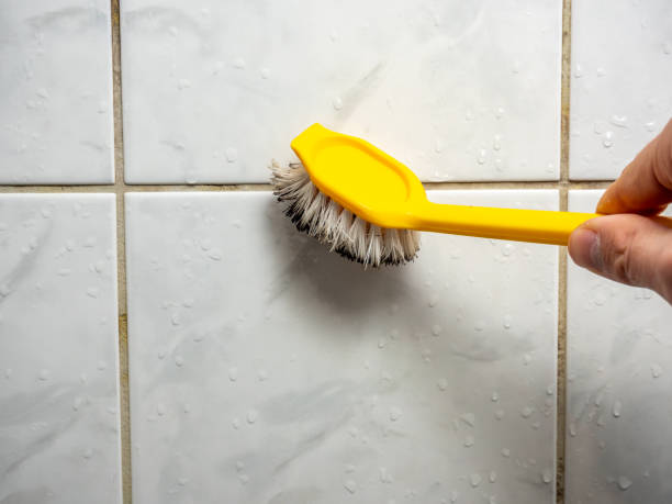Best Fast Mold Removal  in Ocean City, NJ